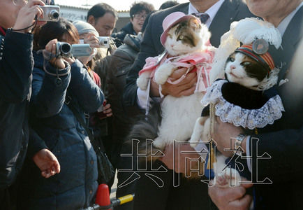 圖為粉絲們簇擁著“阿玉”站長（右）。左側(cè)為其部下“二玉”。