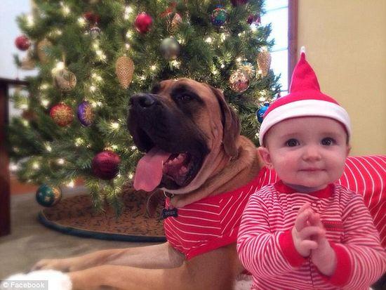 圖為美國2歲大的寵物犬與主人9個(gè)月大的女嬰。圖片來源：臉譜網(wǎng)站（Facebook）。