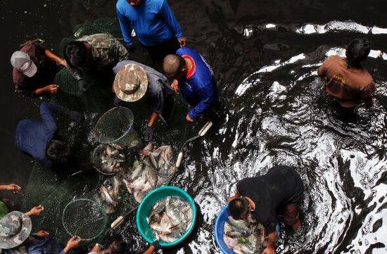 泰國(guó)當(dāng)局派人到商場(chǎng)底部捕魚（圖片來(lái)源網(wǎng)絡(luò)）