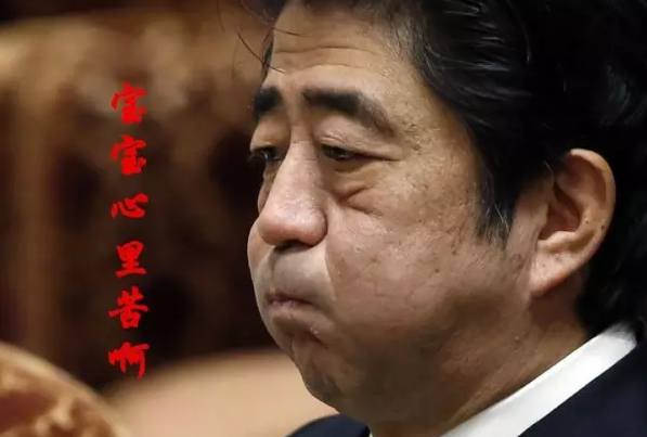 這種看安倍“熱鬧”的事兒，環(huán)環(huán)絕不私藏，一定雨露均沾!