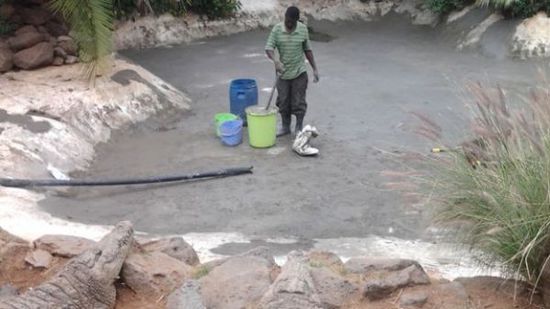 穆克的養(yǎng)殖場，鱷視眈眈下的工作人員。