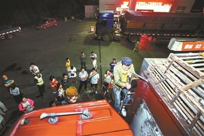 浙江動(dòng)保人士高速攔車救貓 假稱出車禍叫來民警