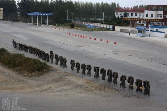 中國(guó)女性苦行僧生活:行腳乞食 露宿野外(圖) 中國(guó)女性苦行僧生活:行腳乞食 露宿野外(圖)