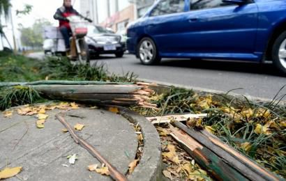 事發(fā)現(xiàn)場，嫌疑車輛撞壞的木樁。