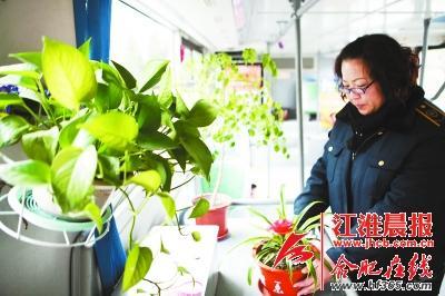 合肥公交司機(jī)自費(fèi)購(gòu)買(mǎi)《三字經(jīng)》裝飾車(chē)廂獲贊