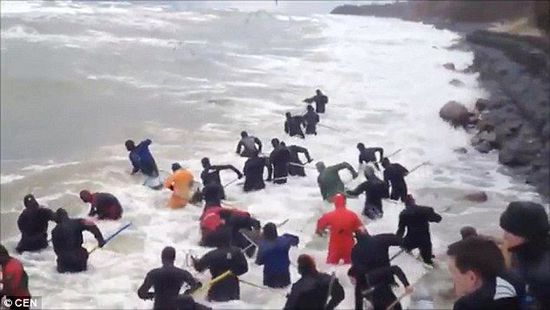 一場暴雨后，俄羅斯加里寧格勒Pionersky鎮(zhèn)，數(shù)十人潛入海水中搜尋琥珀。