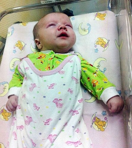 居民認(rèn)為，如果沒(méi)有這只貓的照料，寶寶可能沒(méi)有機(jī)會(huì)活下來(lái)。