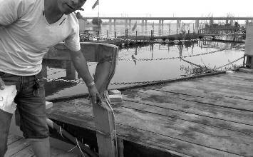 鼻孔里凝著血痂、全身多處擦傷的周先生仍有些驚魂未定。