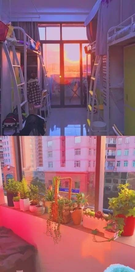 這個學校的男生宿舍火了！女同學都喊著要嫁