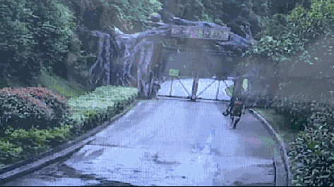 2女1男為逃票翻墻進(jìn)動(dòng)物園 落地時(shí)周?chē)玖?只虎