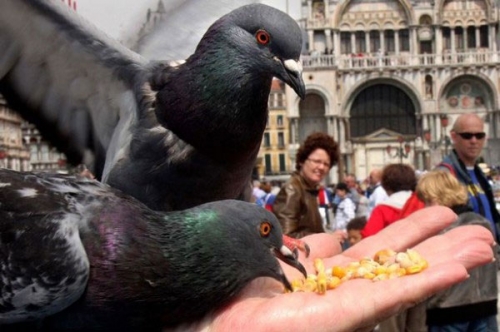 別人地盤(pán) 異國(guó)旅游不進(jìn)警察局的妙招