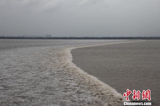 近四年來(lái)最大的農(nóng)歷八月十八錢(qián)塘潮如約而至抵達(dá)浙江省海寧鹽官