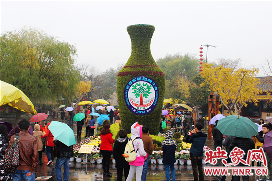 天好、花美 中國開封第32屆菊花文化節(jié)延長一周