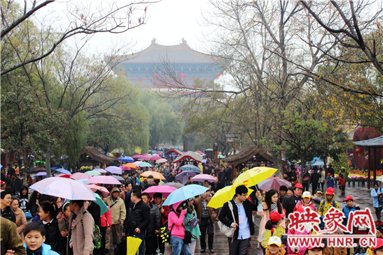 天好、花美 中國開封第32屆菊花文化節(jié)延長一周