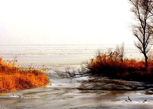 國(guó)內(nèi)適合冬游的目的地 陽光雪景各取所需