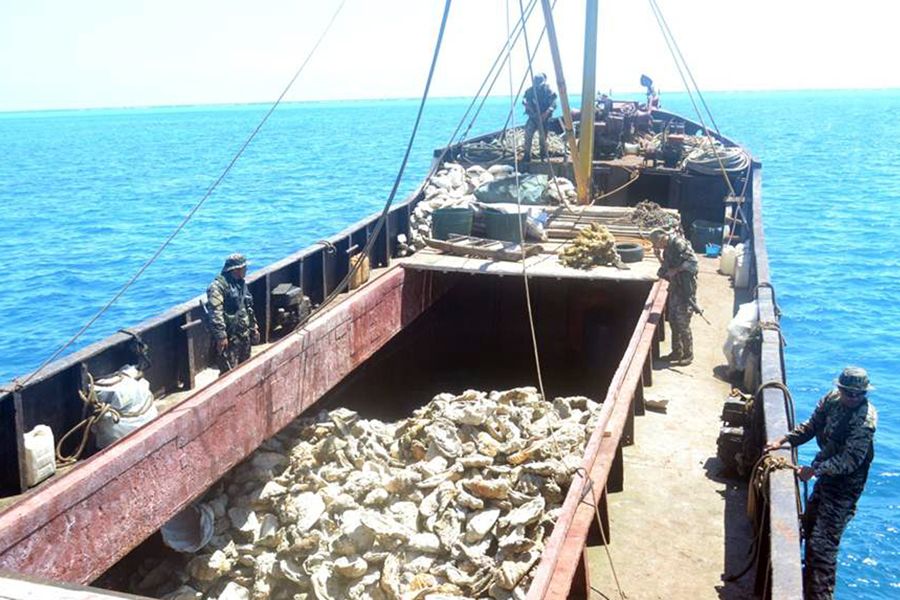 被檢查的中國漁船被菲方指控為非法捕魚。圖為菲律賓海軍持槍檢查中國漁民的照片。