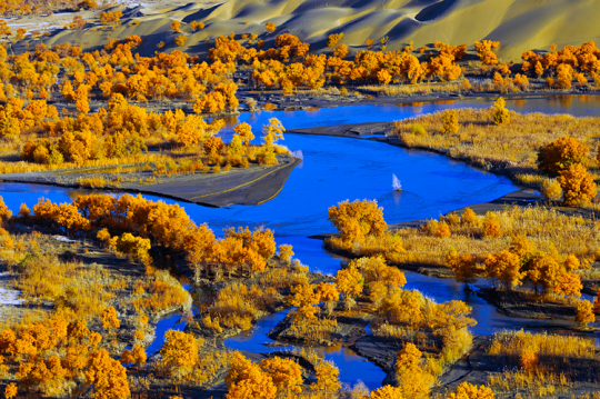 2013踏著月份去旅行