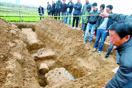 碑帽、赑屃、碑座、碑身依次排開