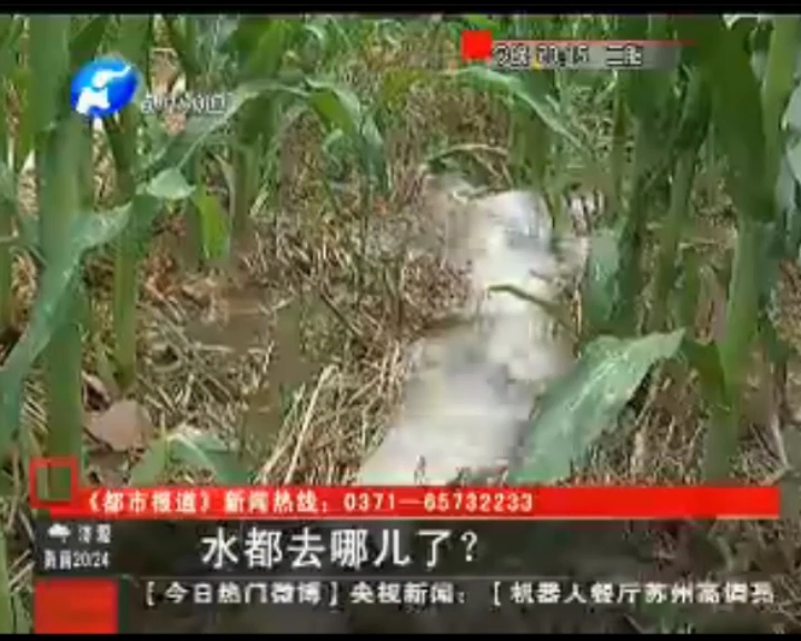 水都去哪了？