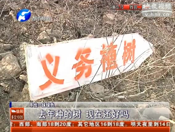 去年種的樹 現(xiàn)在還好嗎？