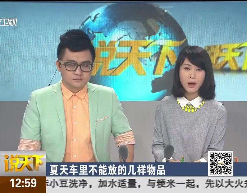 夏天車(chē)?yán)锊荒芊诺膸讟游锲? title=