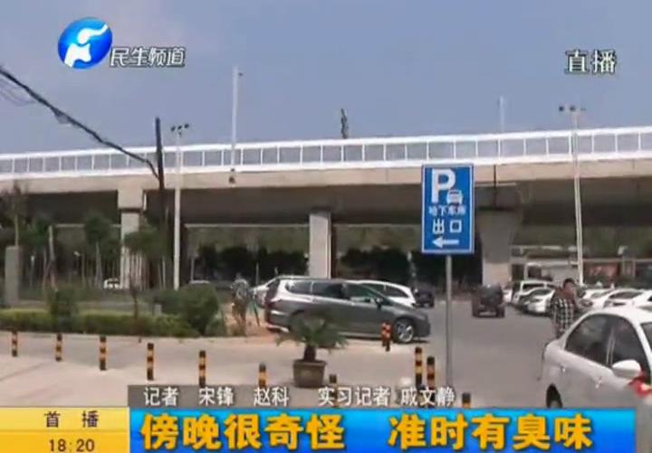 臭味定時送 傍晚悄悄來