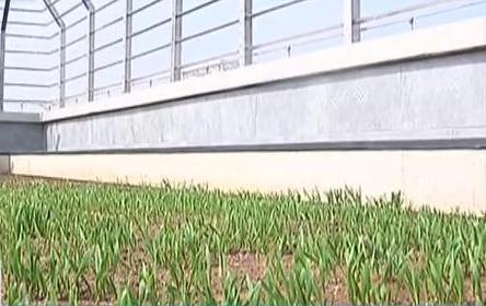 教學(xué)樓上玩開(kāi)心農(nóng)場(chǎng) 自種自吃