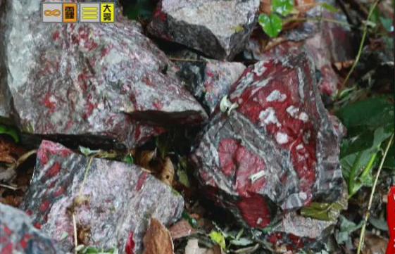 驚！神農(nóng)架無(wú)人區(qū)現(xiàn)神秘玉石