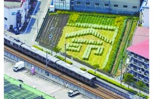 日本2005年列車事故現(xiàn)場(chǎng)附近的一塊農(nóng)田里勾勒出一個(gè)“命”字，以警世人。