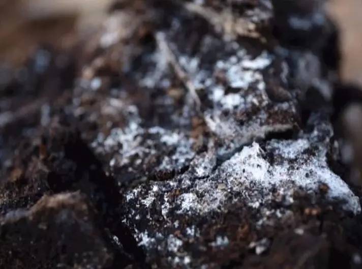 發(fā)酵的芝麻餅肥 發(fā)酵的芝麻餅肥