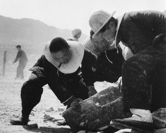 抬石頭，多少人手上都磨出了老繭