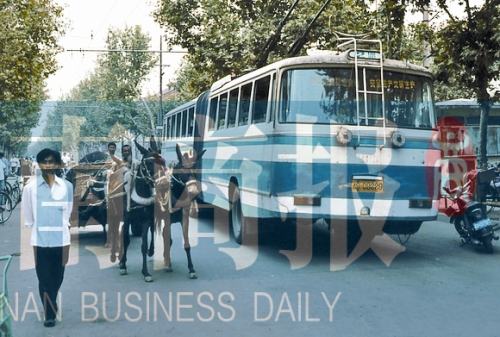 當(dāng)年的伏牛路，驢車和公交車并行