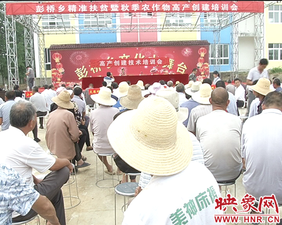 彭橋鄉(xiāng)高產(chǎn)創(chuàng)建技術培訓會