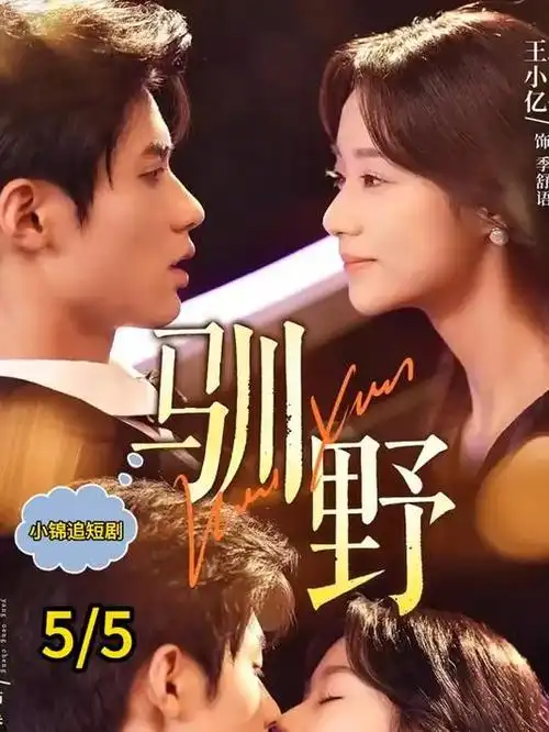 长相思 电视剧封面